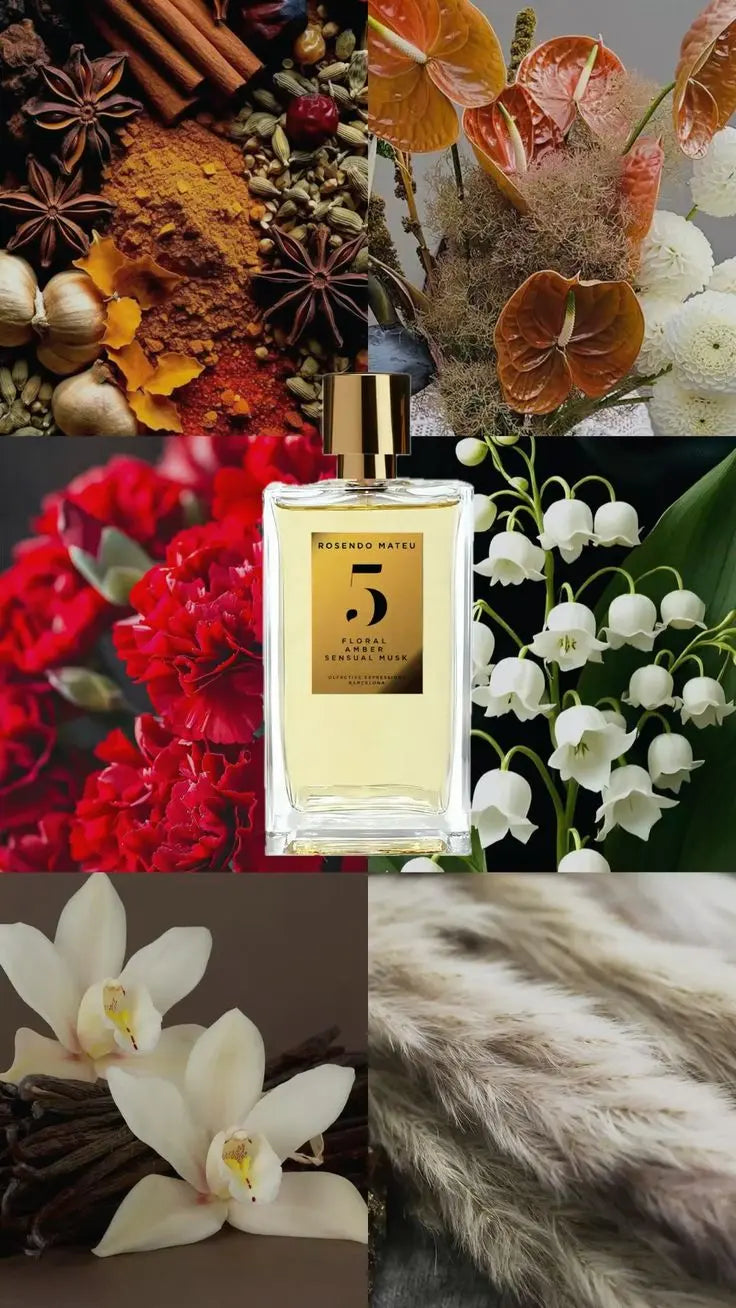 Nº5 – Rosendo Mateu | Parfum de niche intense et addictif Maison Reha