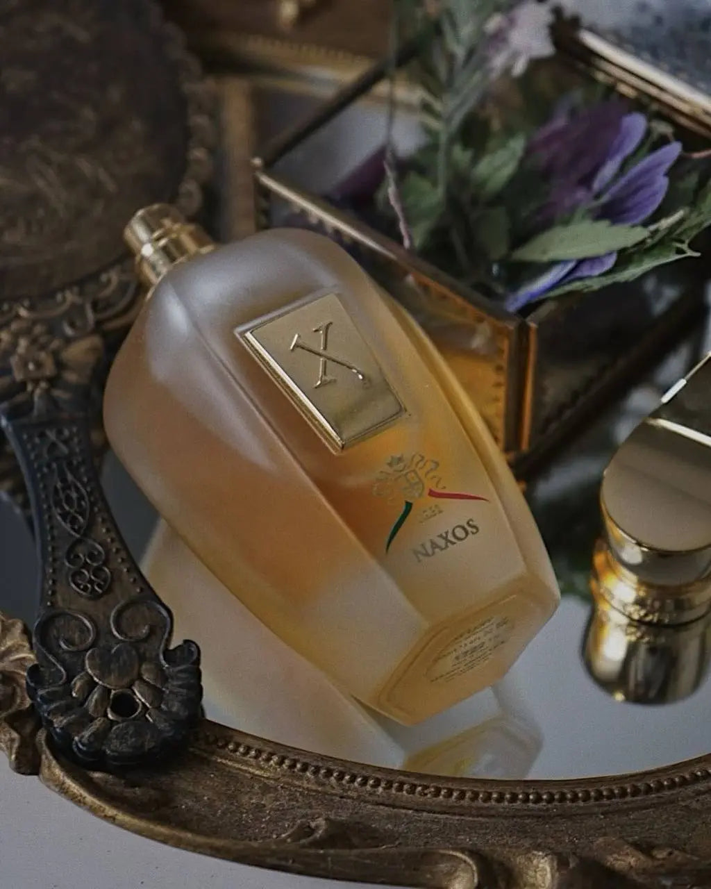 Naxos – Xerjoff | Parfum de niche miel Maison Reha